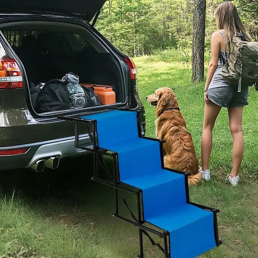 Une femme et son golden retriever en randonnée.