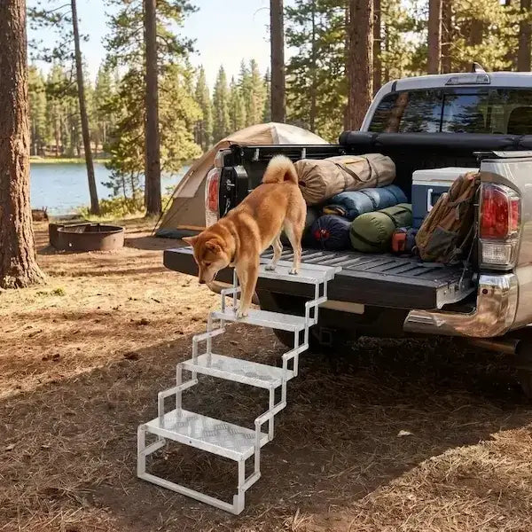Un shiba inu descend des escaliers pour chien à quatre marches derrière un camion en camping.