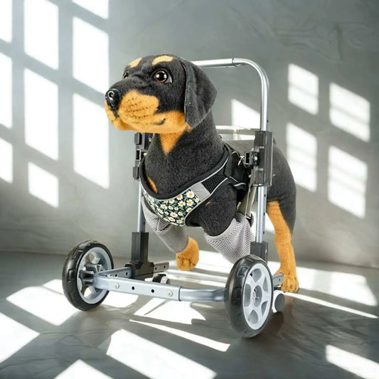 Un toutou représentant un chien dans un fauteuil pour chien vu de face pour les pattes avant.