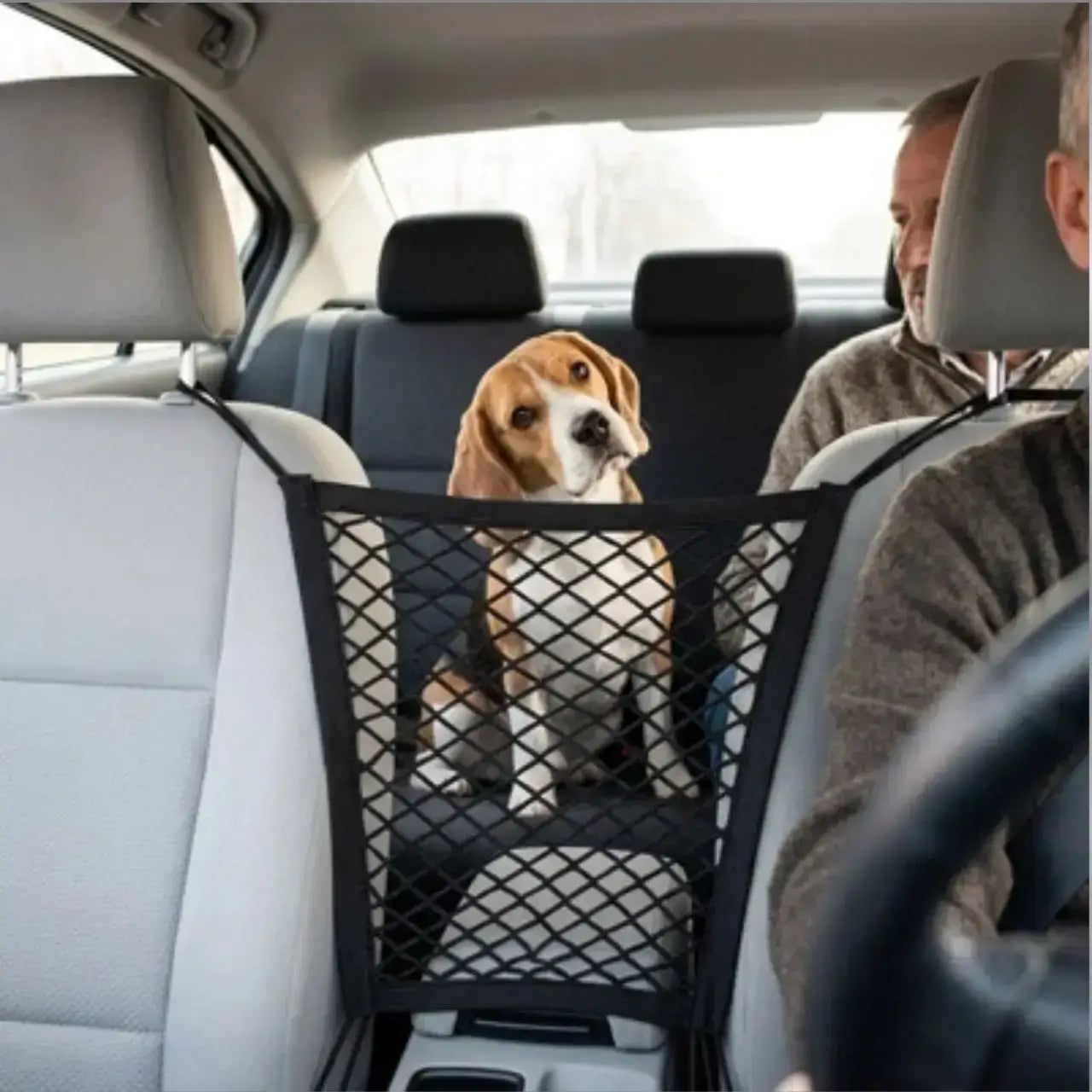 Un beagle assis sur le siège arrière regarde son maître grâce au filet pour chien pour voiture.