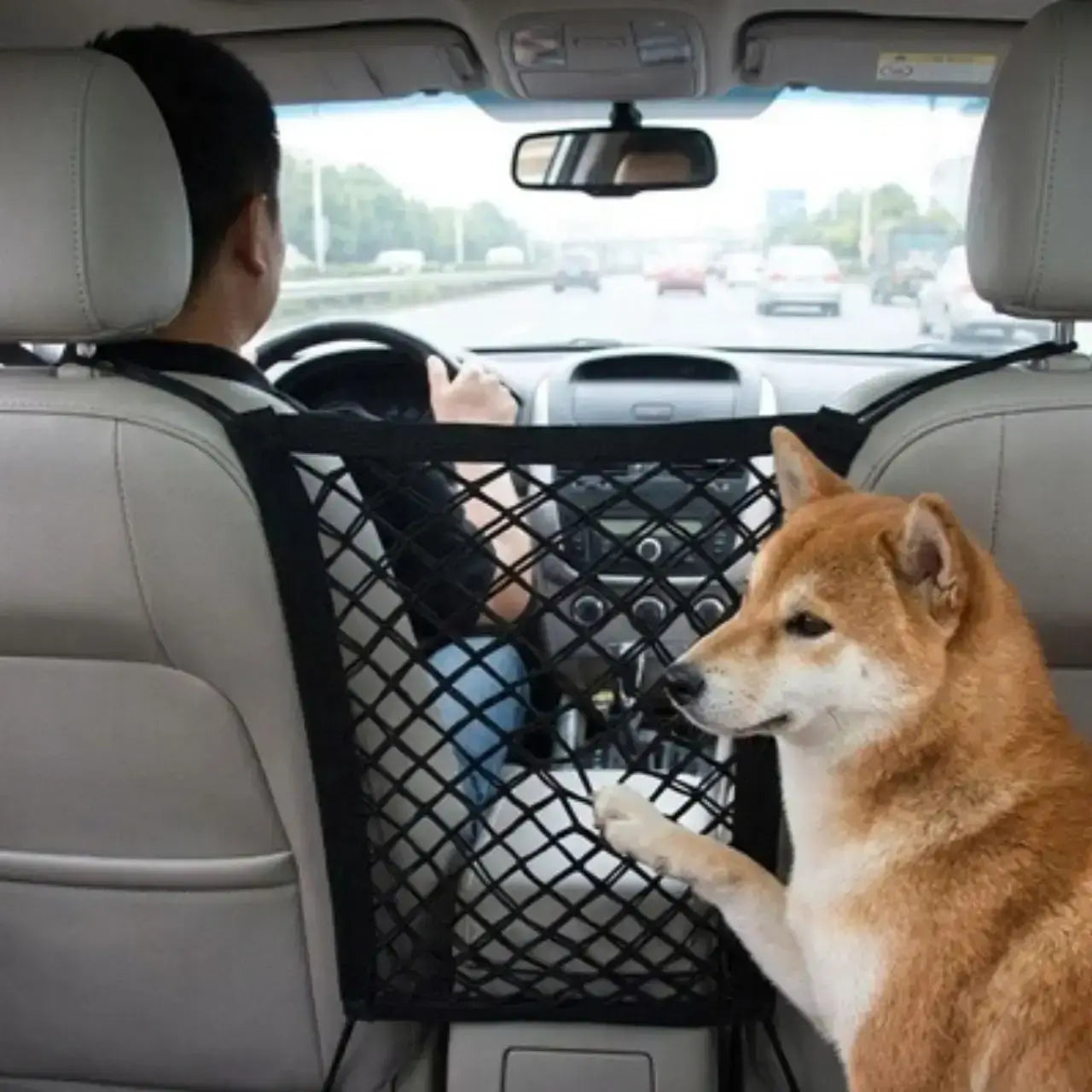 Un shiba inu la patte sur le filet pour chien pour voiture.