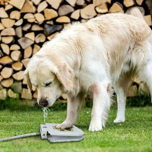 Un golden retriever boit avec la fontaine pour chien.