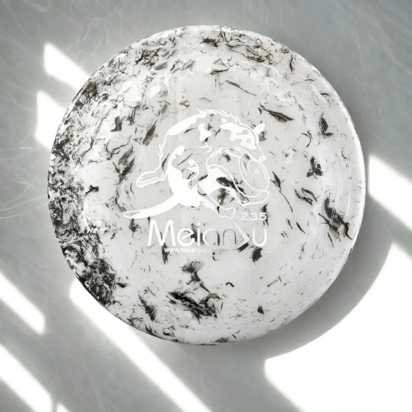 Un frisbee pour chien de couleur noire.