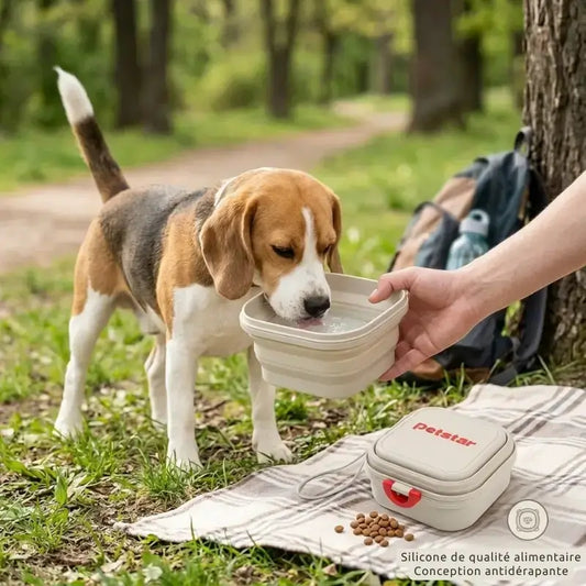 Un beagle boit de l'eau dans sa gamelle pour chien de voyage avec son maître en pique-nique.
