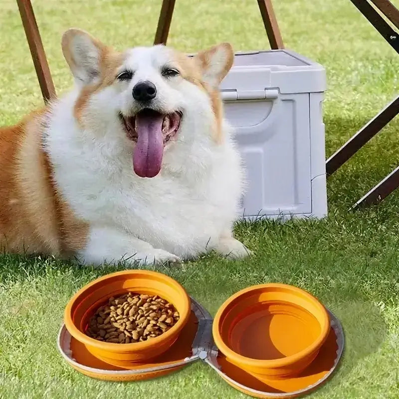 Un corgi en camping avec une gamelle pour chien marron.