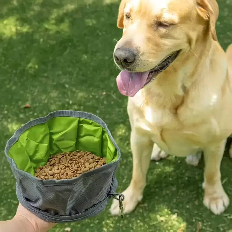 Un maître présente la nourriture à son labrador dans une gamelle pour chien noire et verte.