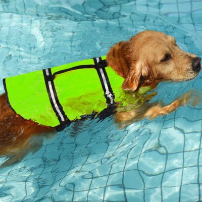 gilet de sauvetage chien couleur vert fluo