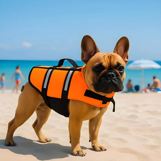 Un bouledogue français sur la plage avec son gilet de sauvetage pour chien orange fluo.