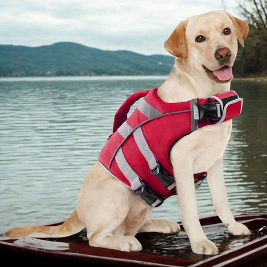 Un labrador blond assis sur le bout d'un bateau sur un lac avec son gilet de sauvetage pour chien rouge.