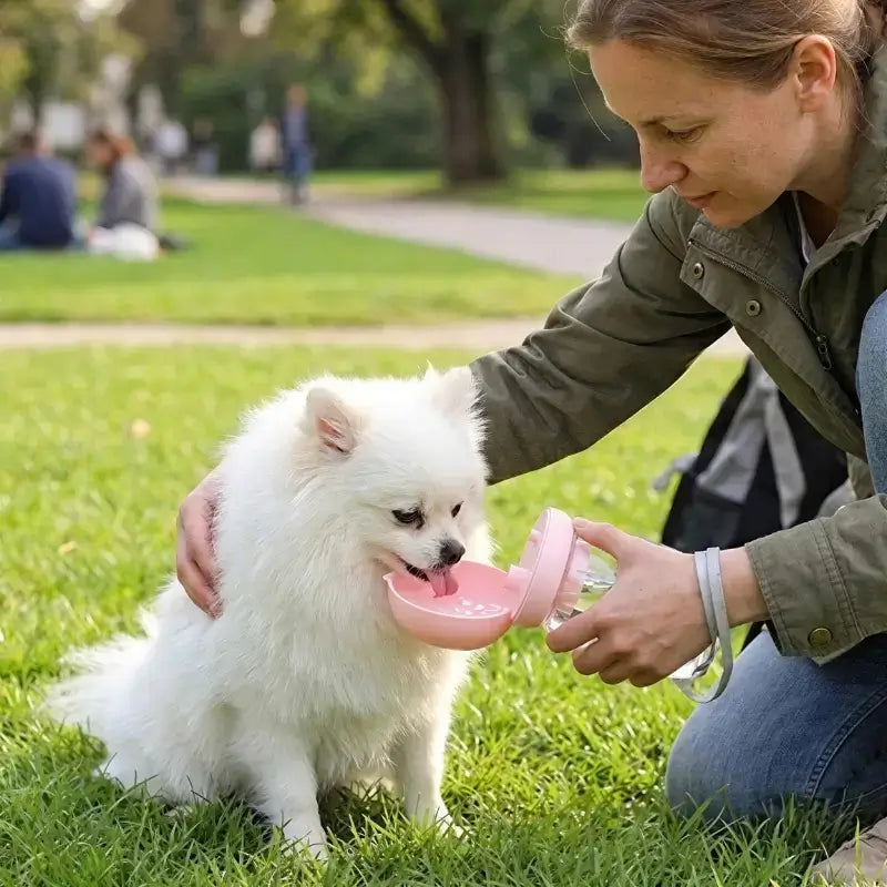 Une femme fait boire son spitz japonais avec la gourde de couleur rose.