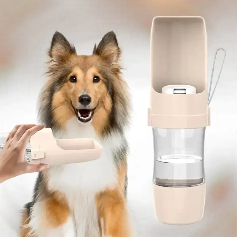 Un colley avec une gourde pour chien beige.