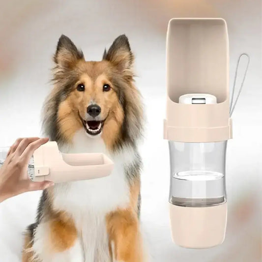 Un colley avec une gourde pour chien beige.