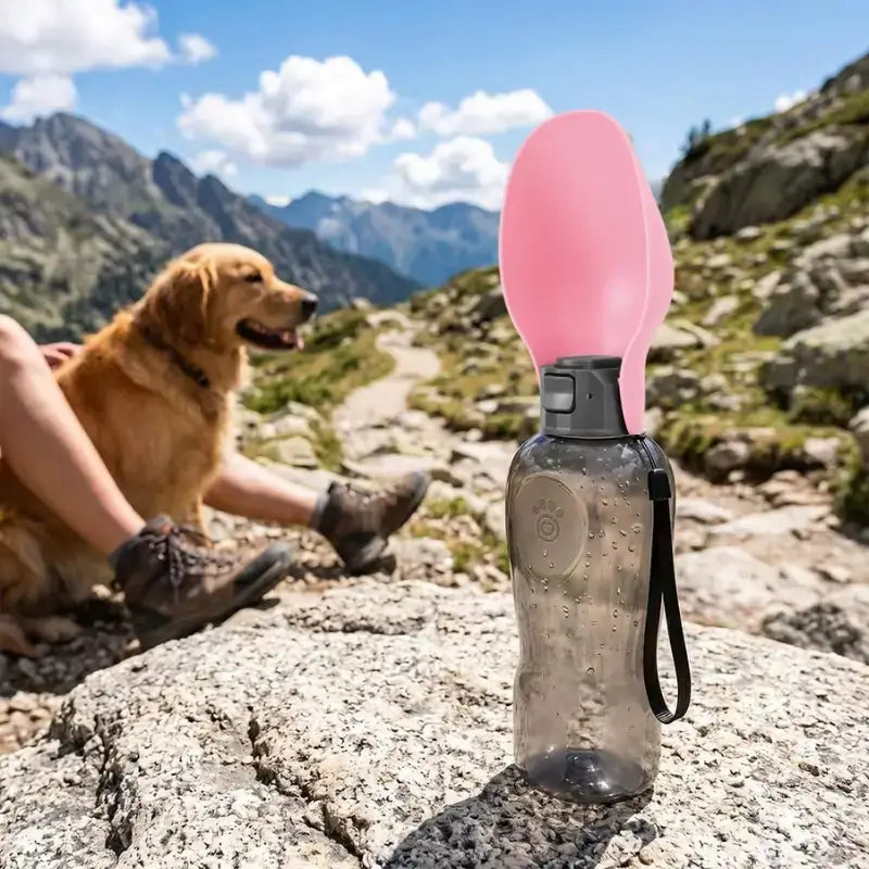 Un golden retriever en randonnée avec son maitre et la gourde pour chien rose.