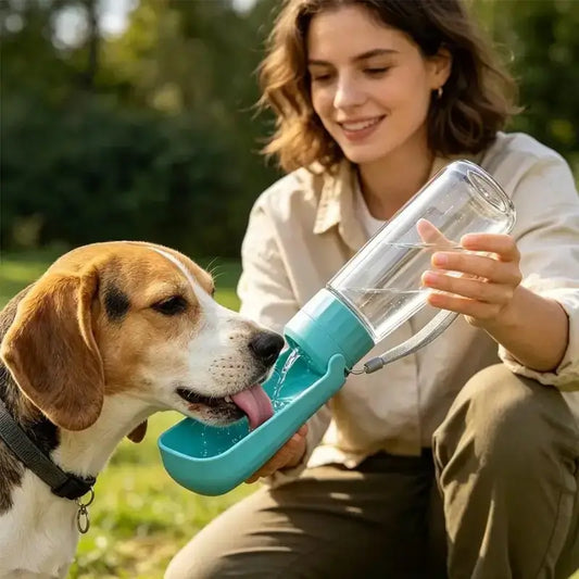 Une femme donne à boire à son beagle.
