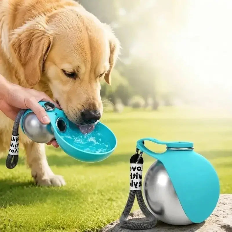 Un golden retriever boit de l'eau avec la gourde pour chiens bleue sans motif.