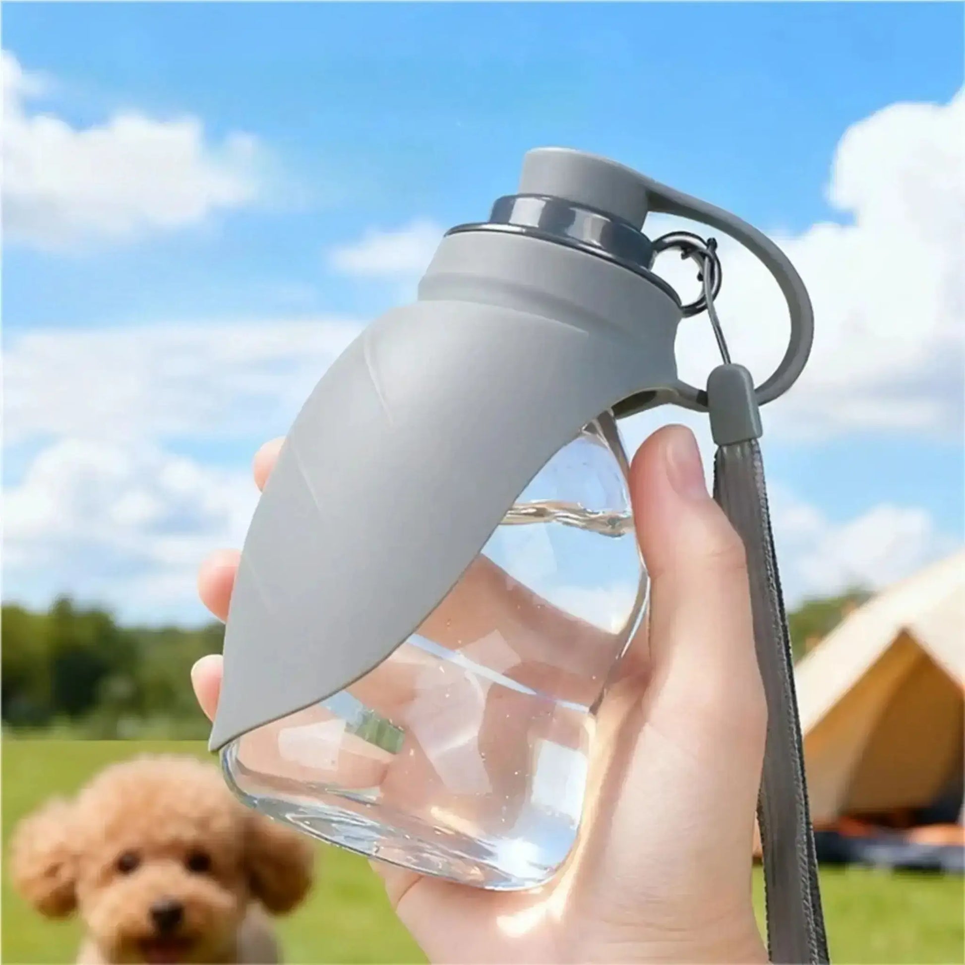 Une gourde pour chien de couleur grise.