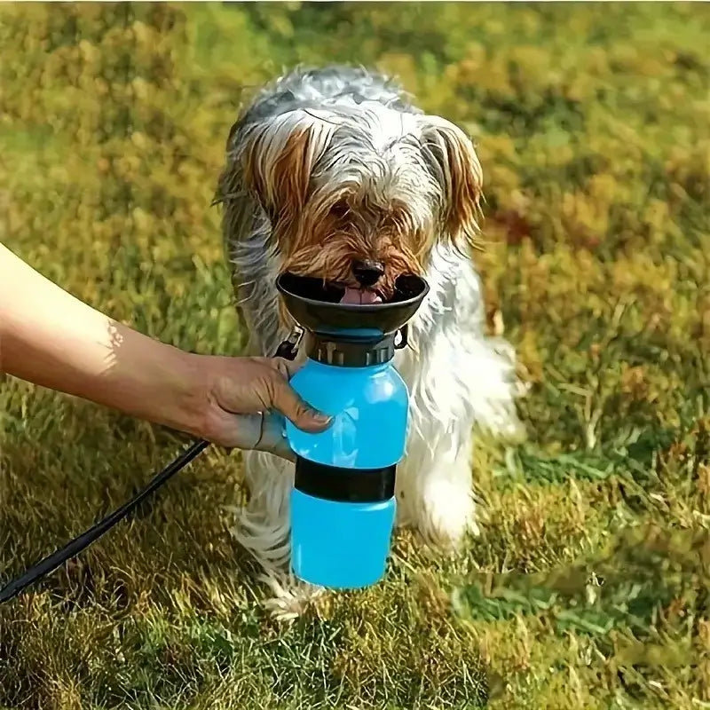 Un Yorkshire boit de l'eau avec une gourde pour chien bleue.
