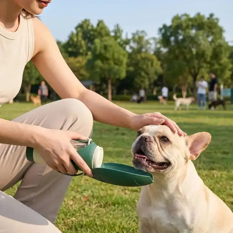 Une femme donne de l'eau à son bouledogue français avec les gourdes pour chien dans un parc à chiens.