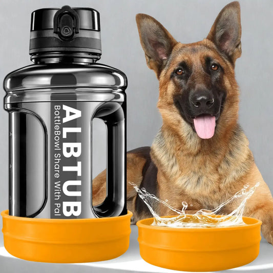 Un berger allemand avec une gourde pour chien de grande capacité.