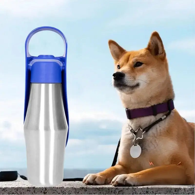 Gourdes pour chien bleu foncé avec un shiba inu. 
