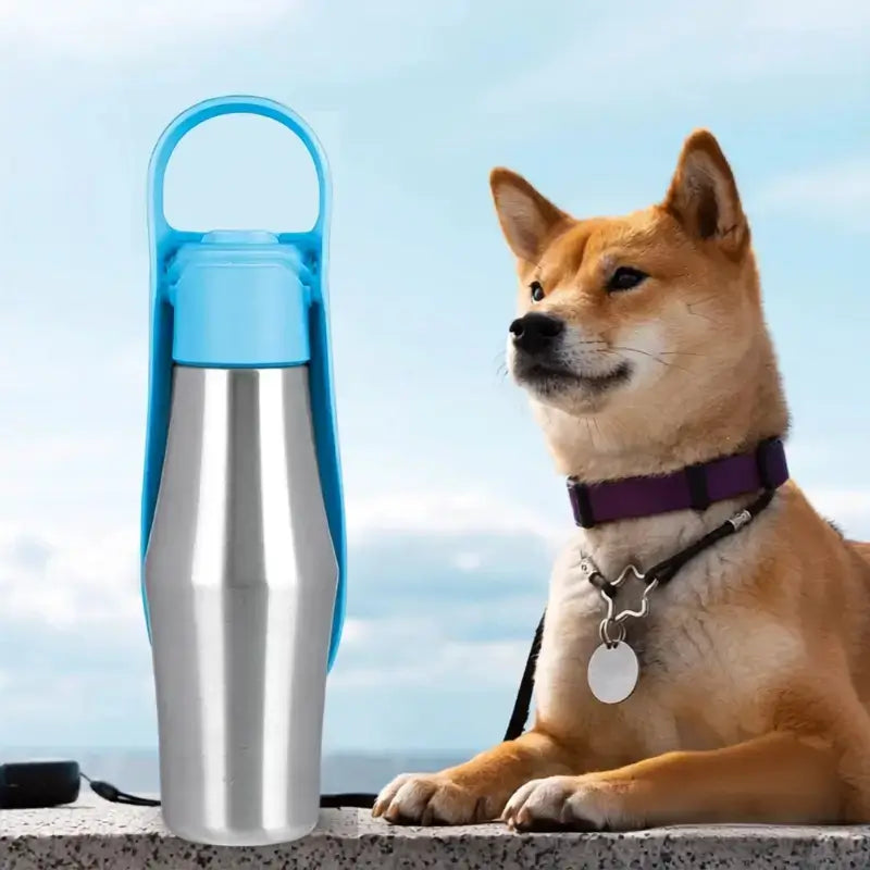 Gourdes pour chien bleu avec un shiba inu allongé.