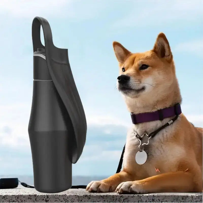Gourdes pour chien noir avec un shiba inu. 