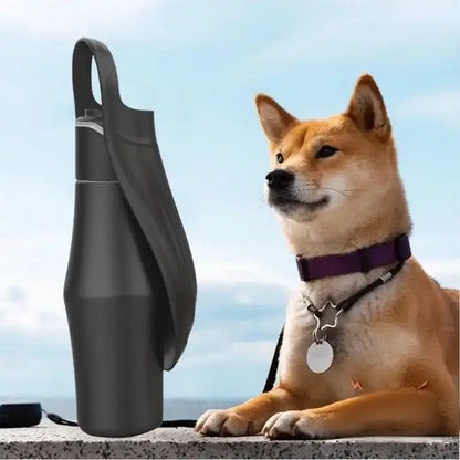 Gourdes pour chien noir avec un shiba inu. 