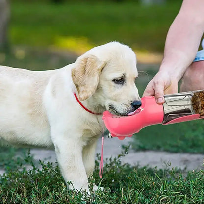 Un chiot golden retriever boit dans la gourde pour chien.