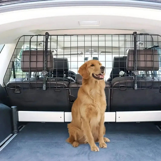 Un golden retriever assis dans le coffre d'un véhicule avec la grille pour chien de voiture.
