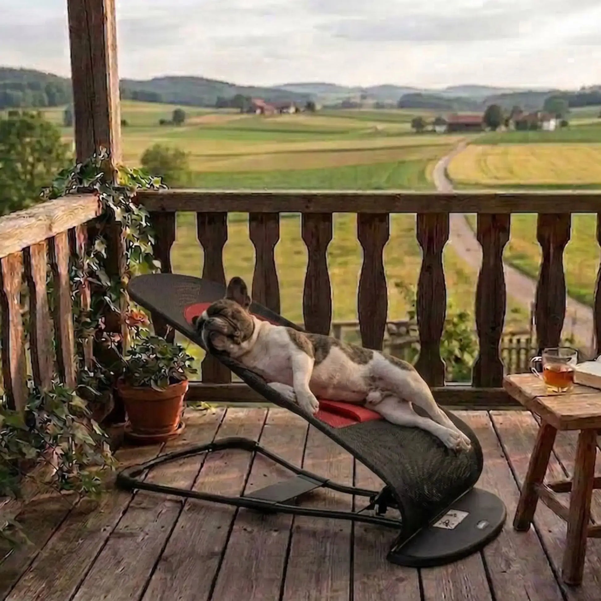 Un bouledogue français sur une terrasse en campagne est allongé sur son hamac pour chien noir 