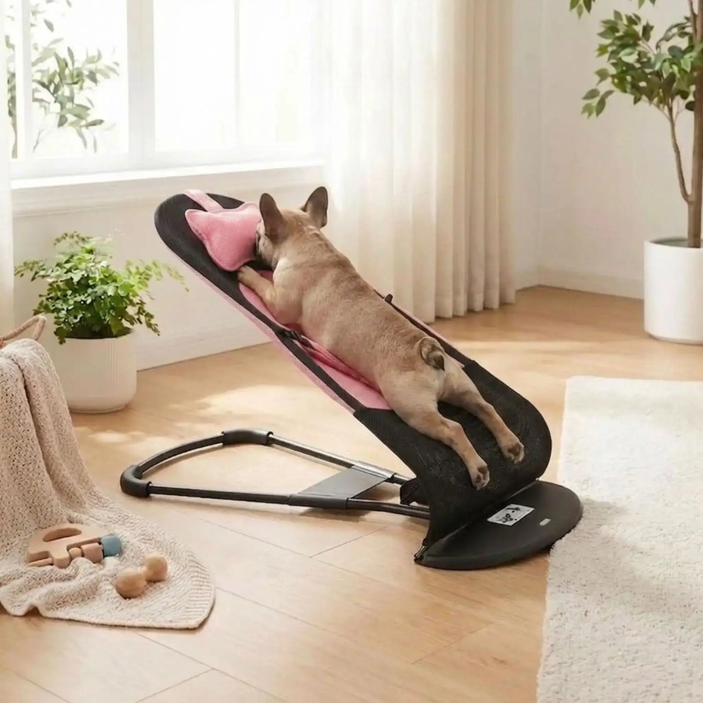 Un bouledogue français dans un salon est allongé sur son hamac pour chien rose.