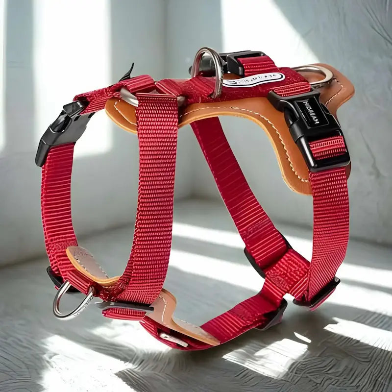 Un harnais de couleur rouge, sangle en nylon.
