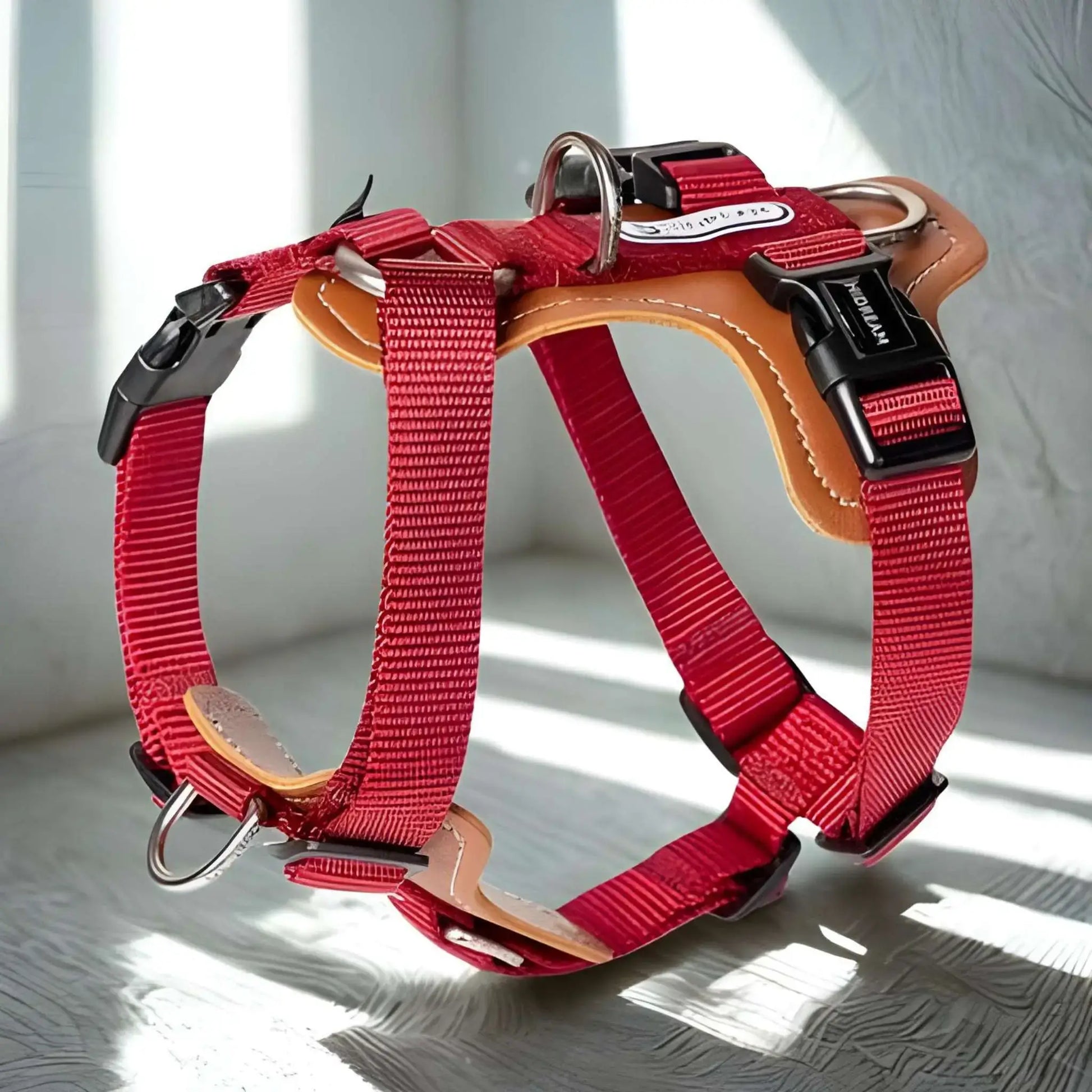 Un harnais de couleur rouge, sangle en nylon.