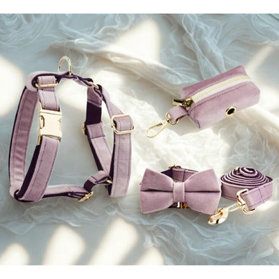 harnais 5 article couleur fichias