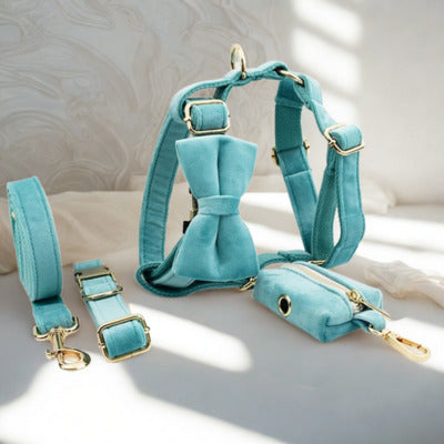 harnais 5 article couleur turquoise