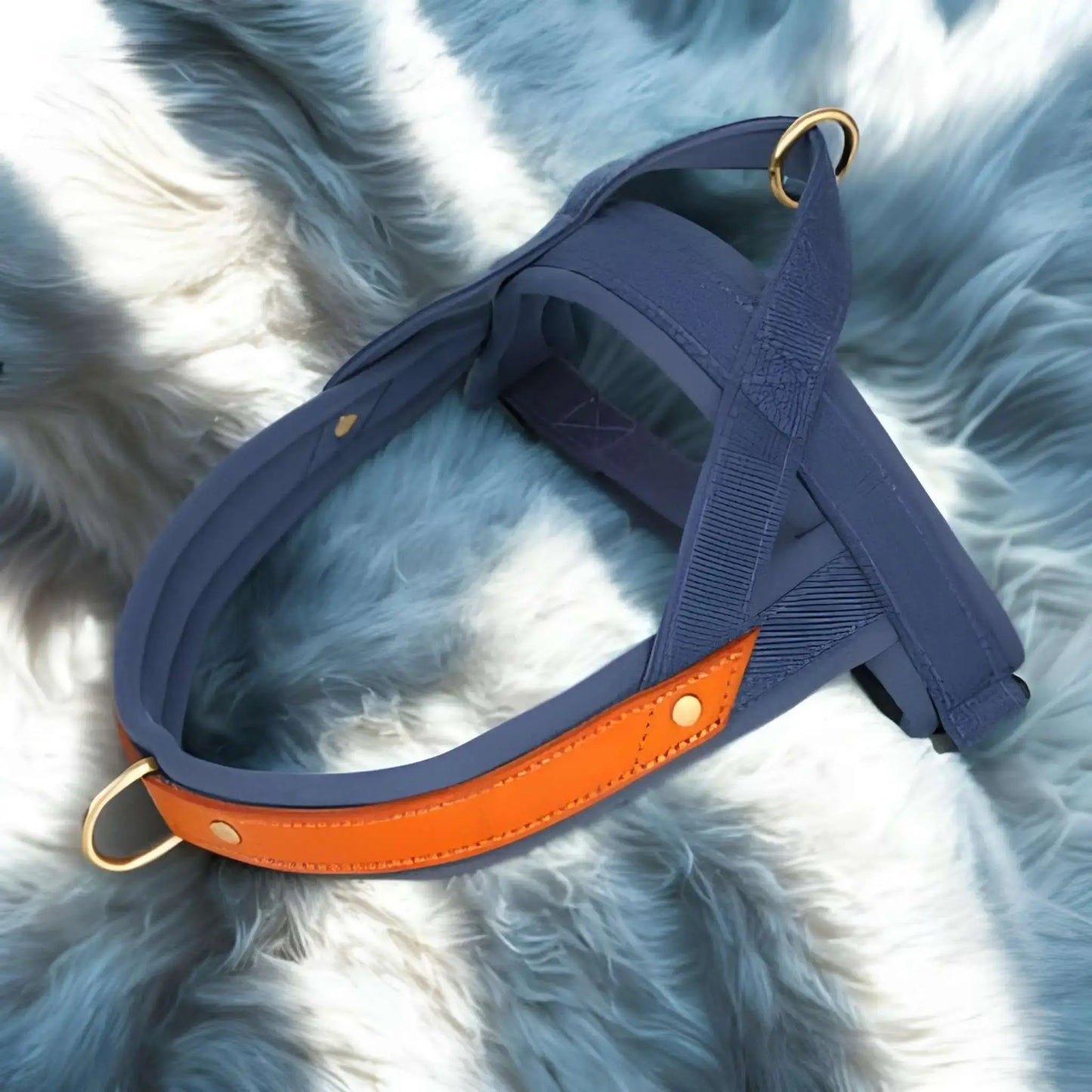 Un harnais anti-traction de couleur bleu marine et orange sur une fourrure.