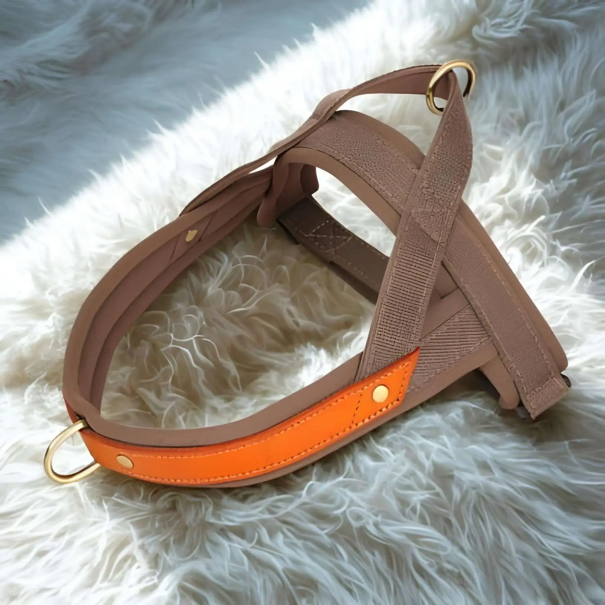 Un harnais anti-traction de couleur marron sur une fourrure.