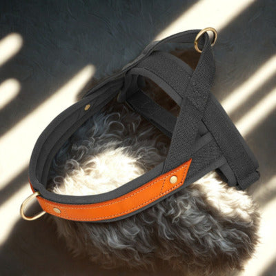harnais anti traction chien couleur noir