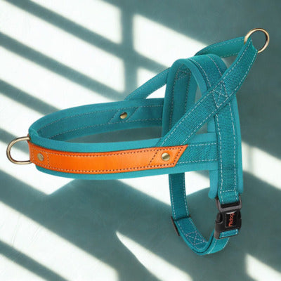 harnais anti traction chien couleur vert brun.