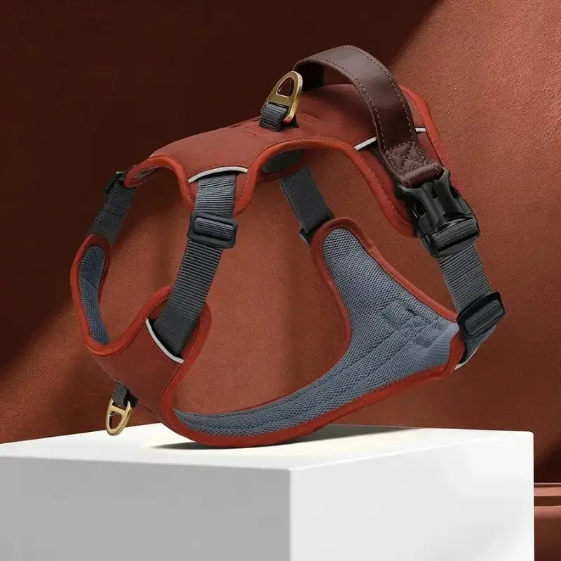 Harnais pour chien de couleur marron.