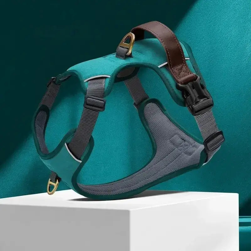 Un harnais vintage de couleur turquoise.