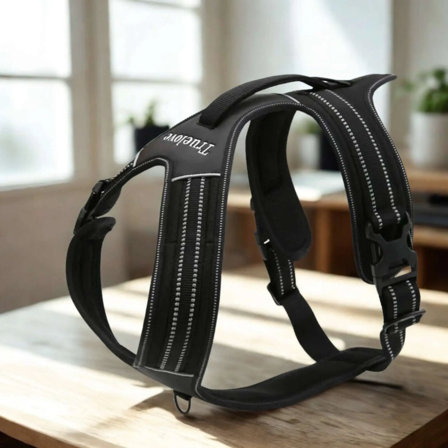 Harnais anti traction pour chien Cabotin de couleur noire.