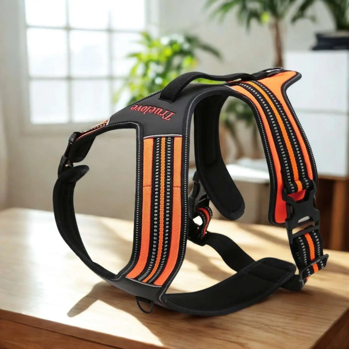 Harnais anti-traction pour chien Cabotin de couleur orange.