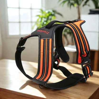 Harnais anti-traction pour chien Cabotin de couleur orange.