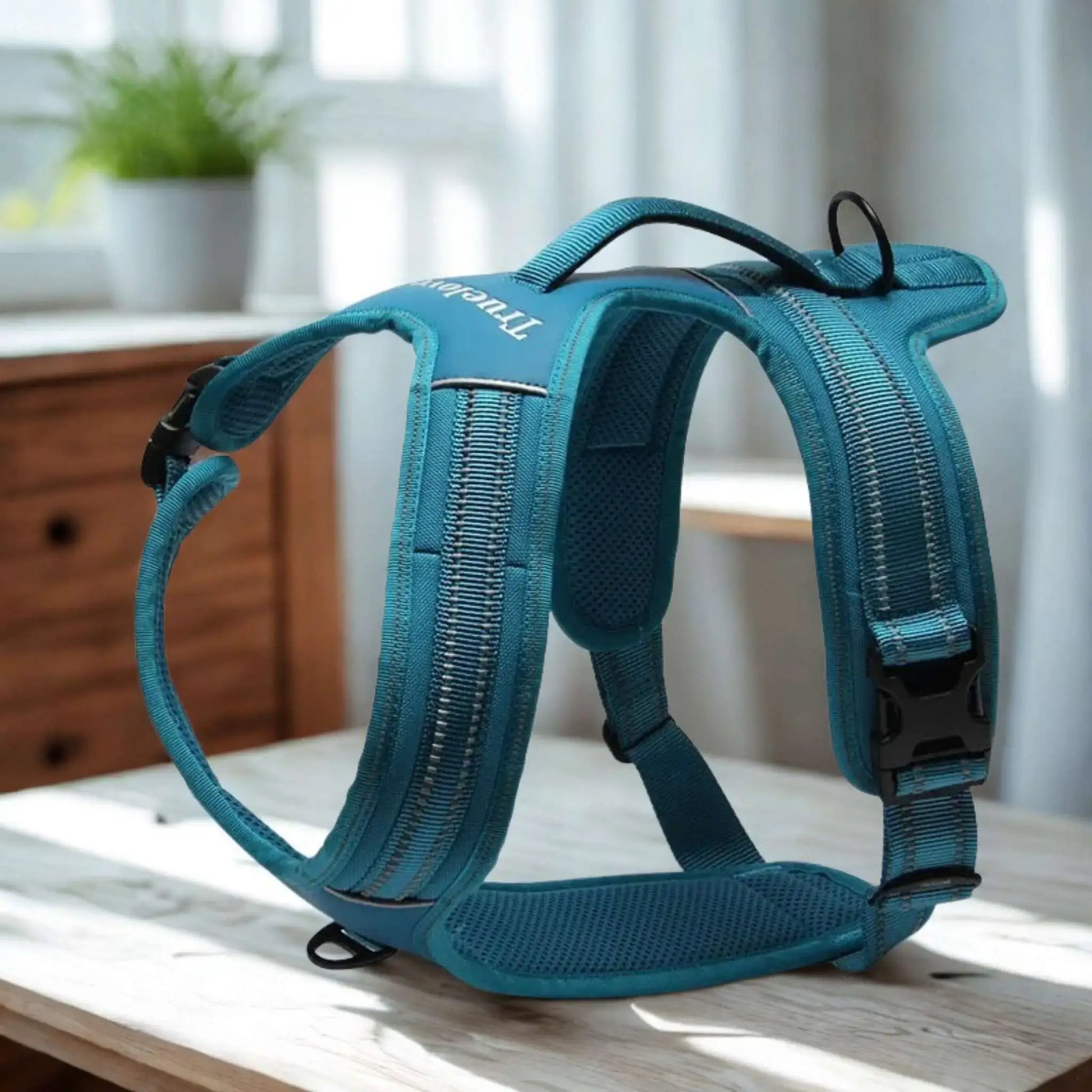 Harnais anti traction pour chien Cabotin de couleur turquoise.