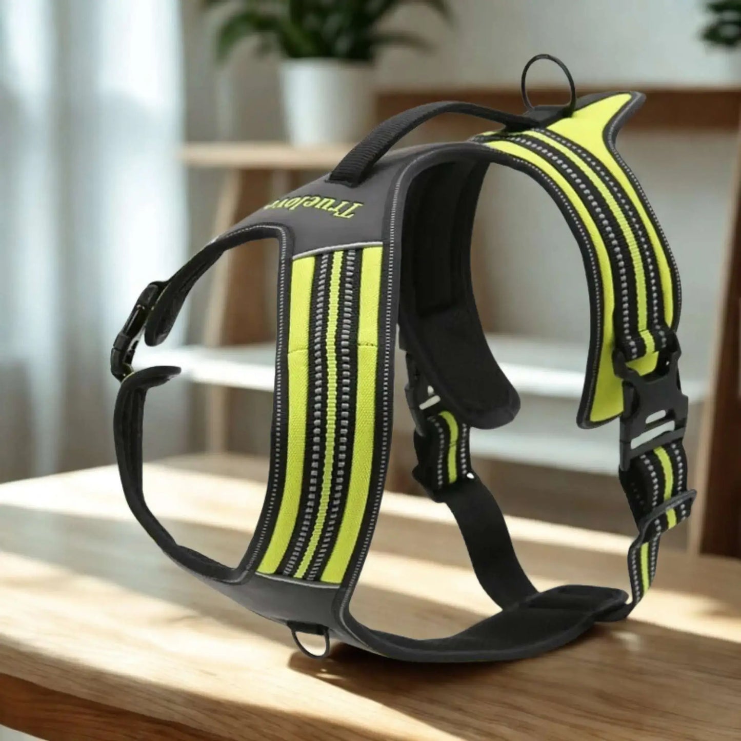 Harnais anti traction pour chien Cabotin de couleur vert fluo