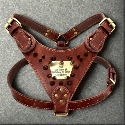 harnais chien couleur brun cuir