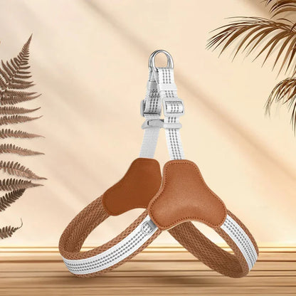 harnais chien couleur-brun