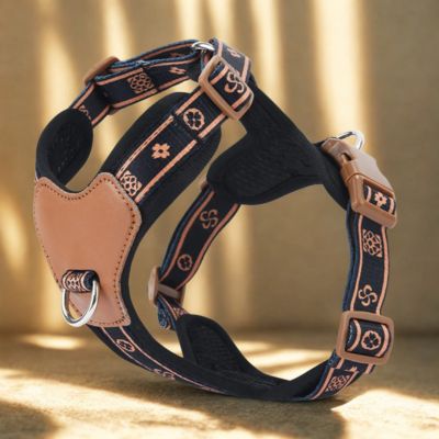 harnais chien couleur noir imprimee