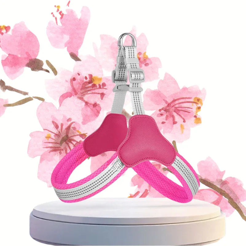 harnais chien couleur rose